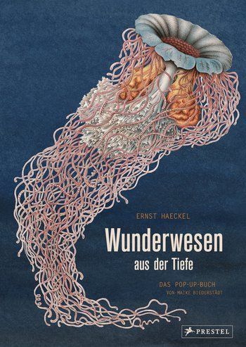 Ernst Haeckel | Wunderwesen aus der Tiefe | Popup Buch