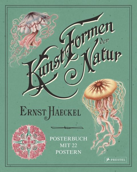 Ernst Haeckel | Kunstformen der Natur - Posterbuch